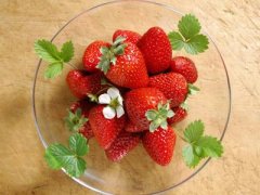 广州代妈吃草莓时需要注意哪些事项