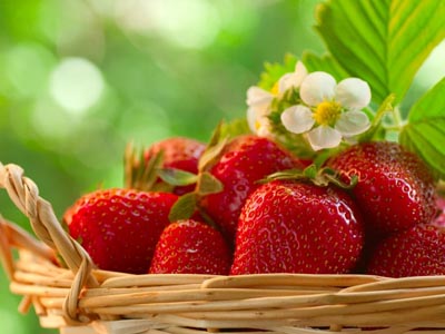 广州代妈吃草莓时需要注意哪些事项