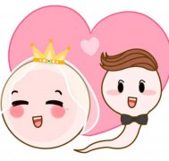 高龄夫妻做试管助孕，这4大问题得注意啦~