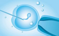 试管过程中，遇到卵泡质量差该怎么解？