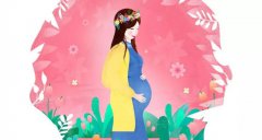 胚胎移植前为什么要憋尿？“科学憋尿方