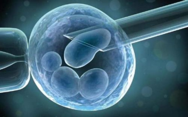 做试管压力大？教你几招轻松缓解，成功率都能翻倍~