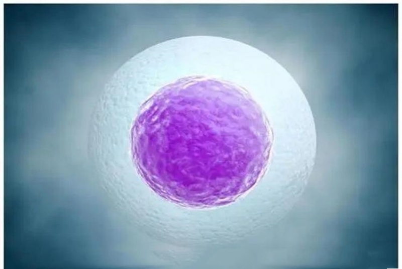 卵巢储备功能差，做试管成功的几率还大吗？