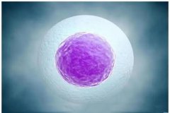 卵巢储备功能差，做试管成功的几率还大吗？