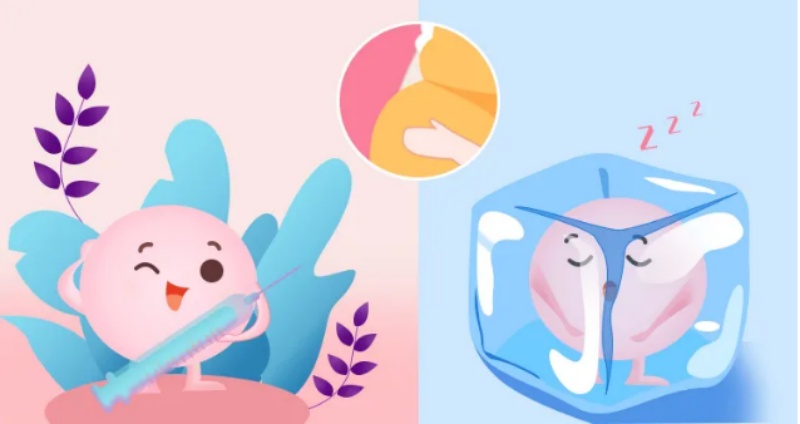 冻胚移植用什么方案好？需要注意什么？