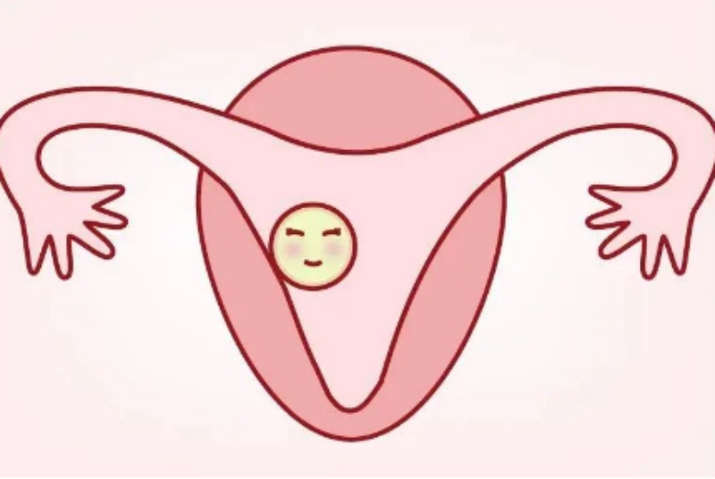 做试管助孕要注意的几点