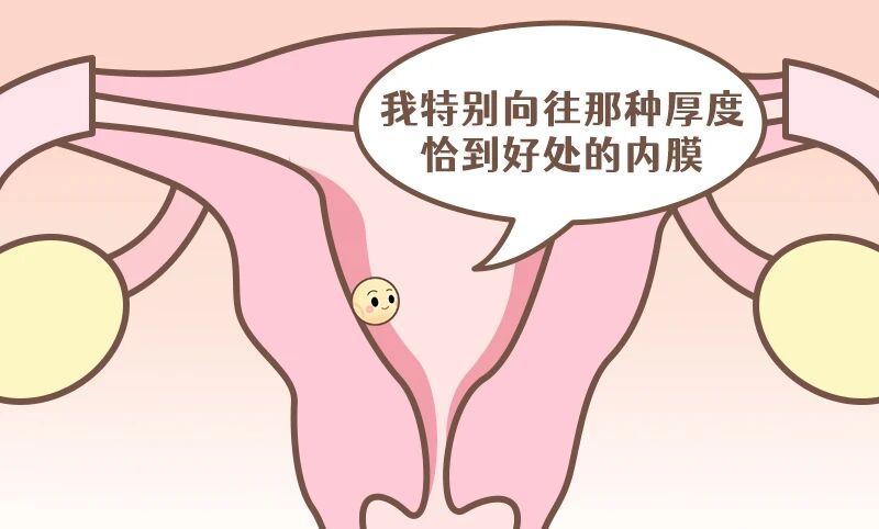 什么样的内膜能让胚胎更容易着床？