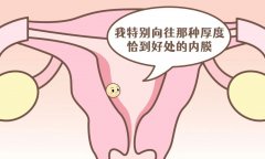 什么样的内膜能让胚胎更容易着床？