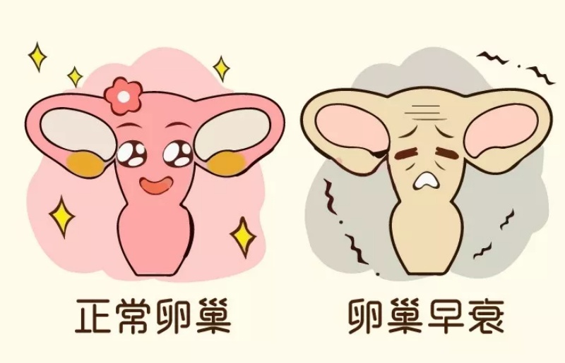 卵巢早衰怎么治疗可以恢复卵巢功能？