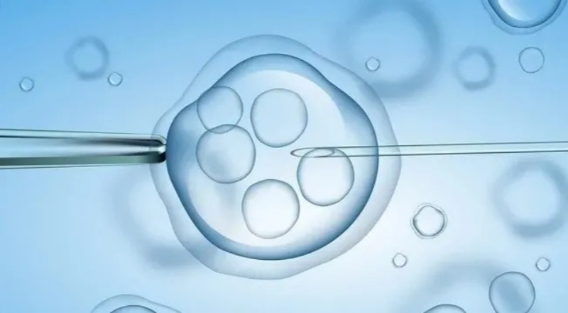 决定试管助孕成功率高低的5大因素！