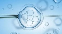 决定试管助孕成功率高低的5大因素！